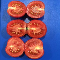 Продам помідори свіжі червоні