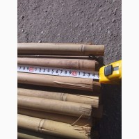 Продаємо бамбук d 22 Х 26 дліна 140 см