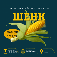 ШЕНК (ФАО 330) Насіння кукурудзи, гібрид Української селекції