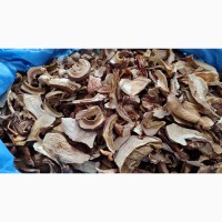 Продам сушені білі гриби з Карпатського лісу