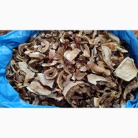 Продам сушені білі гриби з Карпатського лісу