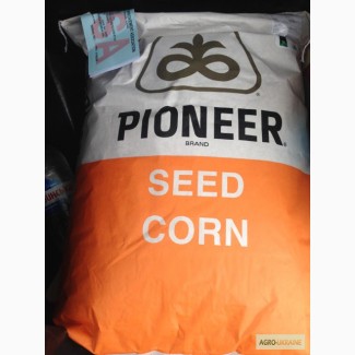 Семена кукурузы пионер PR39B76