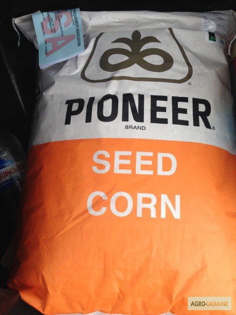 Семена кукурузы пионер PR39B76