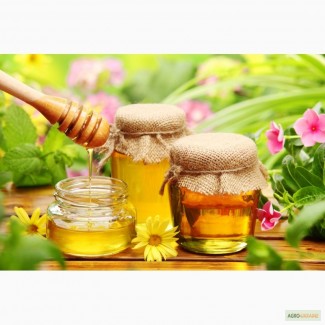 Куплю мед оптом: чистая гречка, липа, кориандр