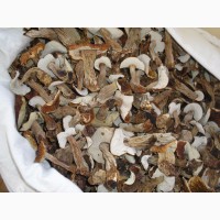 Продам сухие белые грибы