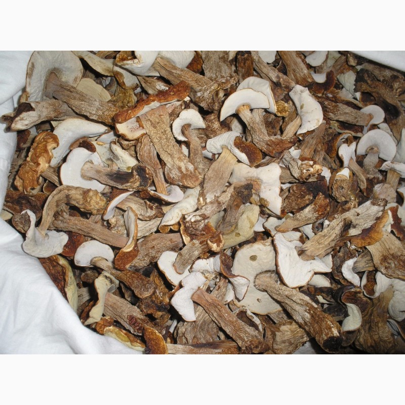 Фото 2. Продам сухие белые грибы