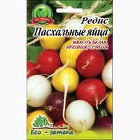 Насіння Редьки оптом відмінної якості Семена Редиса отличного качества