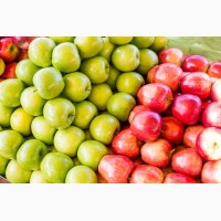 Соковый завод закупает яблоки