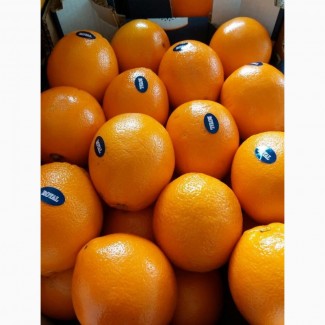 Premium Orange