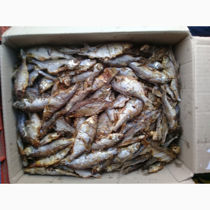Фото 4. Риба сушена печена в печі на соломі