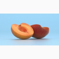 На постійній основі реалізую оптом заморожений абрикос(без кісточки)