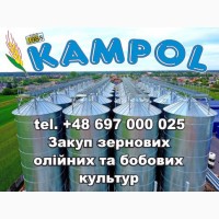 Просо Червоне Куплю