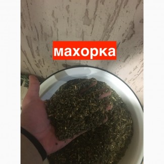 Махорка для цінителів смаку