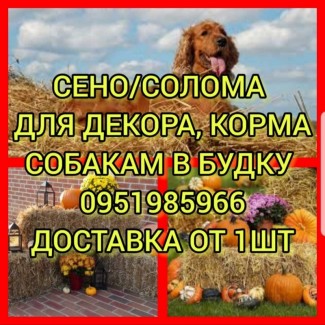 Продам сено: луговое, люцерну. Доставка. Есть возможность оплаты по б.н