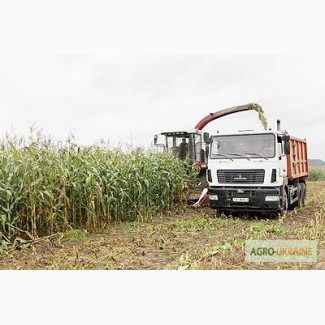 Уборка сенажа сена соломы уборка кукурузы на силос по Украине