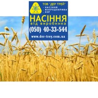 Семена озимой пшеницы Чорнява, урожай 2017 года от компании Дер Трей