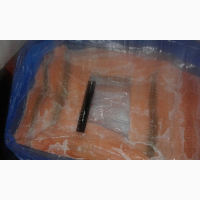 Фото 4. Продам филе лосося/філе лосося