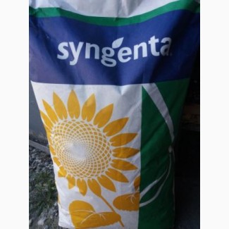 Продам залишкі насіння соняшника НК Конді Нк Бріо