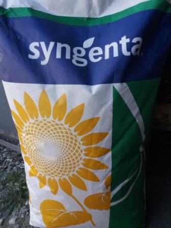 Продам залишкі насіння соняшника НК Конді Нк Бріо