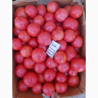 Продам помідор