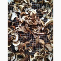 Продам гриби сушені