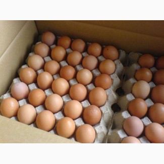 Яйцо куриное, С1, белое и коричневое