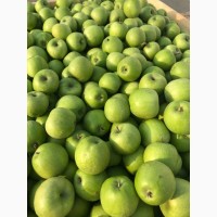 Продаємо газовані яблука з холодильника-сортів.Грені Сміт, Голден Делішес, Фуджі, Ред Чіф