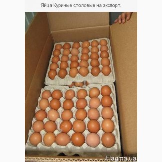 Экспорт яйца свежие С0, С1 и яичный порошок.Отгрузка на прямую с завода изготовителя