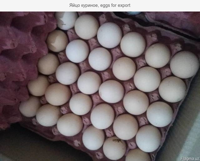 Фото 2. Экспорт яйца свежие С0, С1 и яичный порошок.Отгрузка на прямую с завода изготовителя