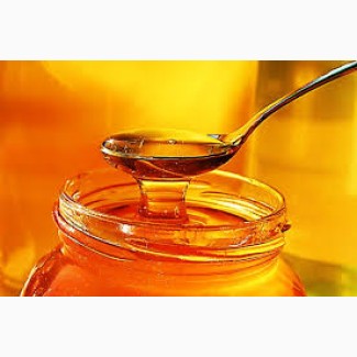 Купимо мед оптом дорого від 300 кг Кіровоградська обл