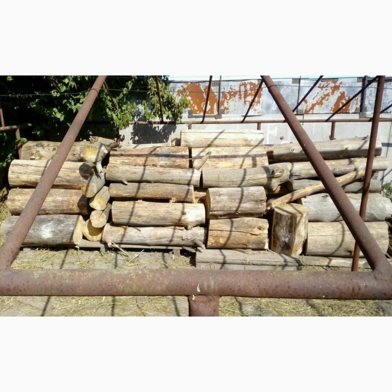 Фото 3. Продам дрова сосна колотые сухие 370 гривень куб