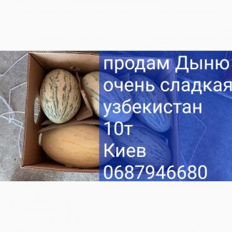 Продам очень сладкую Дыню Узбецкая