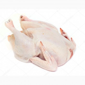 Chicken carcass for export