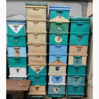 Вулики для бджіл на рамку Рута, пасіка, рамки