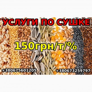 Услуги по сушке 150грн/т/%