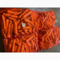 Морква мита вищого гатунку