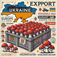 Продам мухомор на експорт до Європи, США та Азії. Amanita EXPORT from Ukraine