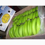 Прямые поставки бананов, ананаса с Эквадора