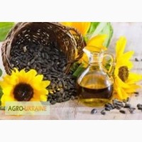 Переробка насіння соняшника на олію