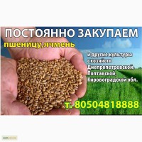 Мука пшеничная от производителя
