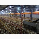 Птицеводческое оборудование производства турецкой фирмы “Aytav Poultry Equipment”