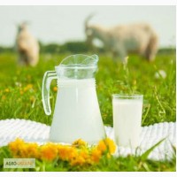 Козье молоко, доставка Киев
