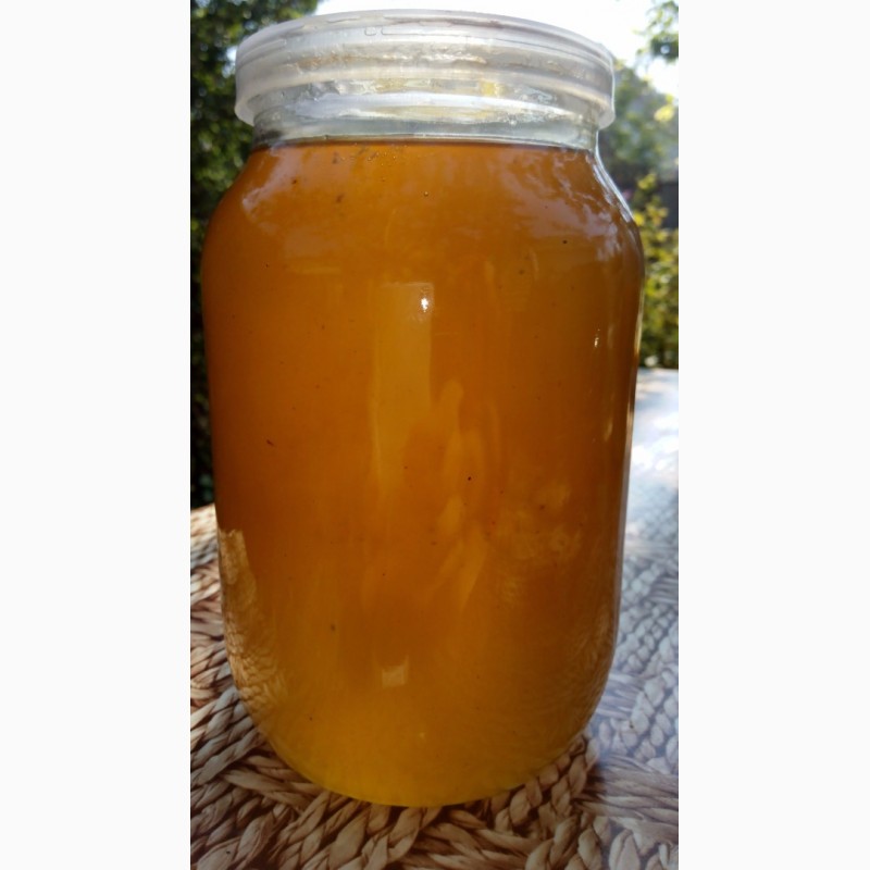 Фото 2. Натуральный мёд разнотравье 2020г. Черниговская обл