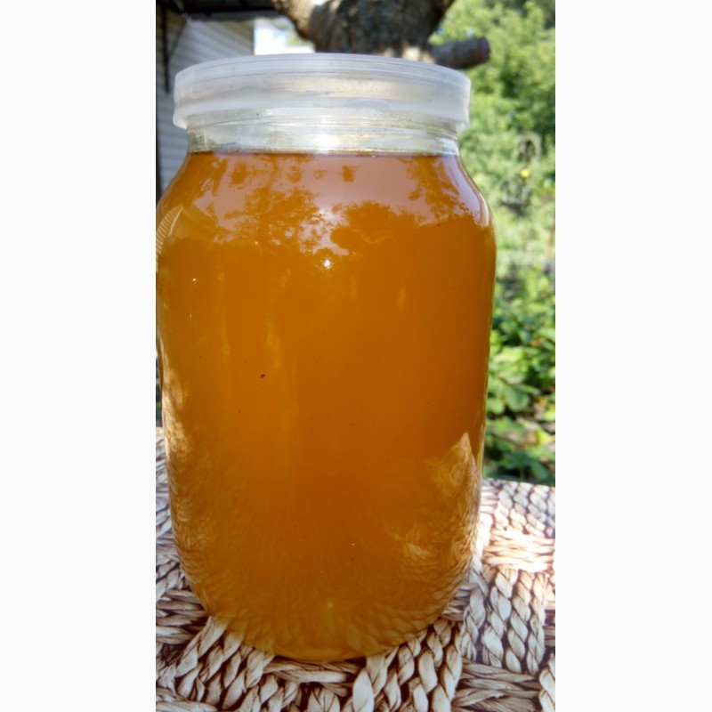 Фото 4. Натуральный мёд разнотравье 2020г. Черниговская обл