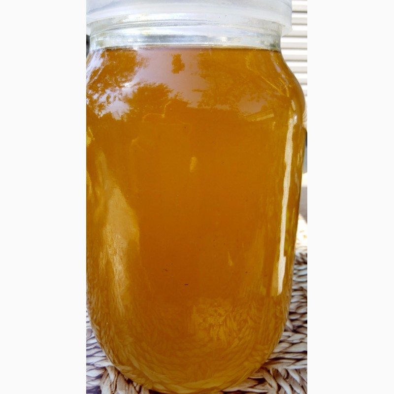 Фото 5. Натуральный мёд разнотравье 2020г. Черниговская обл