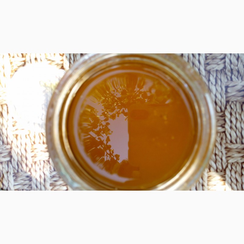 Фото 6. Натуральный мёд разнотравье 2020г. Черниговская обл