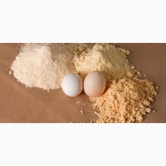 Яичный порошок на Экспорт. Chicken Dried Egg Powder