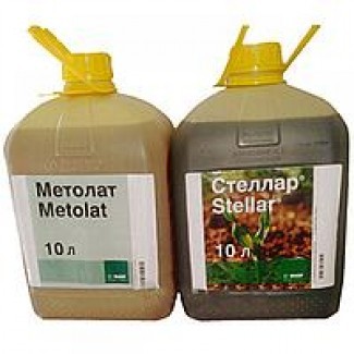 Стеллар + Метолат - надійний і ефективний захист посівів кукурудзи