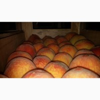 Персик редхевеня и молдова из холодильник