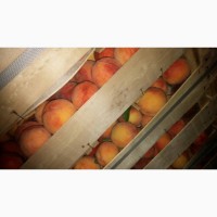 Персик редхевеня и молдова из холодильник